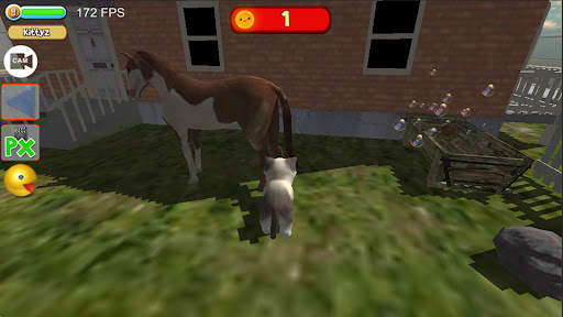 Cat Simulator : kitty can ride screenshot 2