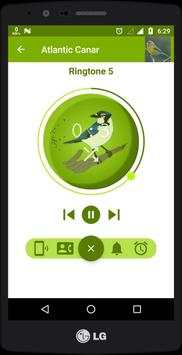 Bird Sounds And Ringtones screenshot 3