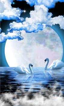 Swans Moon Night LWP screenshot 1