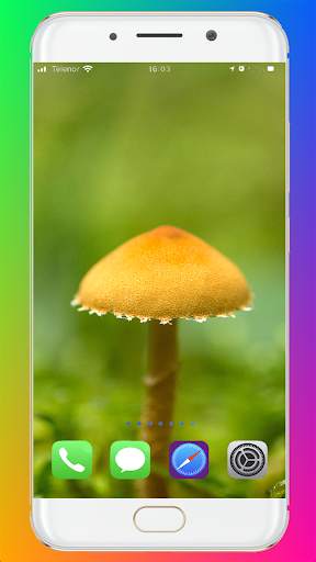 Macro Wallpaper HD screenshot 4