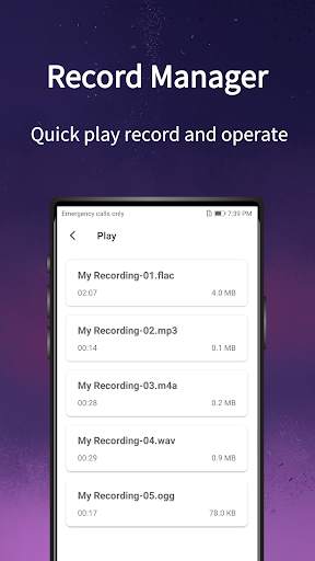 Audio Recorder - Voice Recorder & Sound Recorder screenshot 2