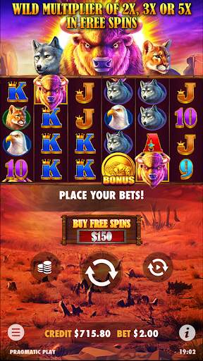 Buffalo King: Slot Casino Game screenshot 3