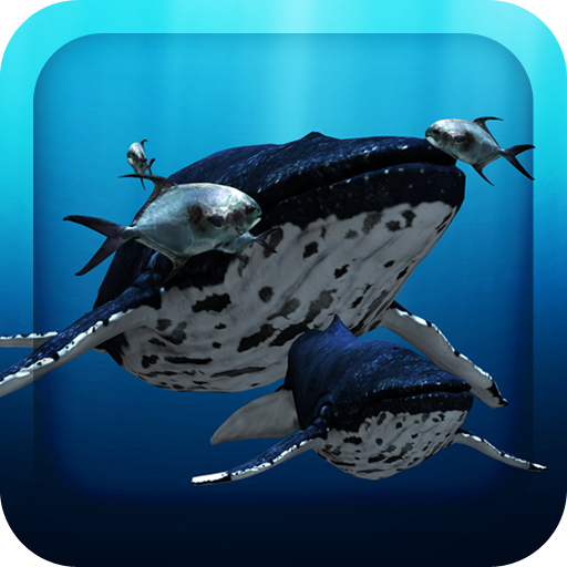 3D Sea Fish Live Wallpaper HD icon