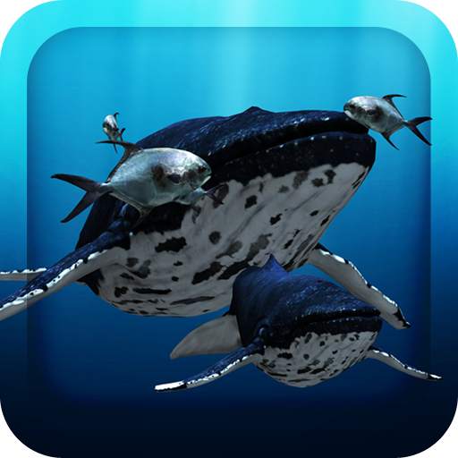 3D Sea Fish Live Wallpaper HD 1.6.0