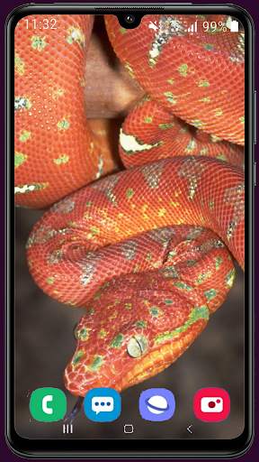 Snake Wallpaper Best HD screenshot 8