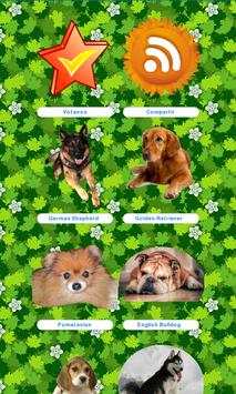 Dog Breeds Pictures screenshot 1