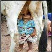 Funny pictures 3 on 9Apps