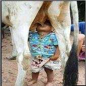 Funny pictures 3 1.0
