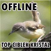 Suara Burung Ciblek Kristal Gacor 1.0