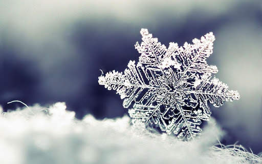 Live Snow Wallpapers screenshot 8