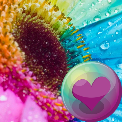 Sunflowers HD Wallpapers icon