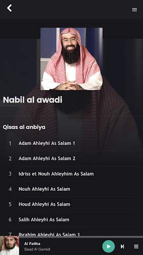 Quran Pro screenshot 6
