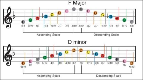Bass Chords and Scales screenshot 2
