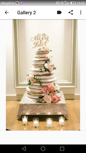 Wedding Cakes screenshot 3