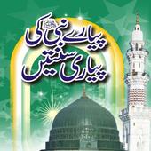 Pyare Nabi Ki Pyari Sunnatain icon