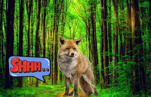 Wild Animal Photo Frames screenshot 4
