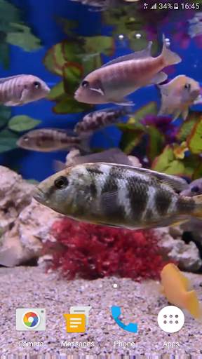 Aquarium 4K Live Wallpaper screenshot 8