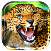 Tiger Lion Cheetah LWP icon