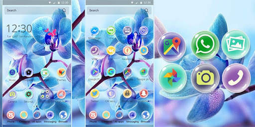 Orchid Flower Theme blossom screenshot 1