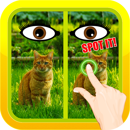 Find Spot The Difference #17 icon
