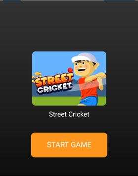 Mitro Street Cricket screenshot 1