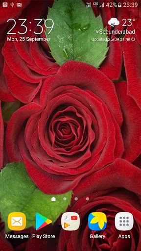 Flowers Live Wallpaper screenshot 3