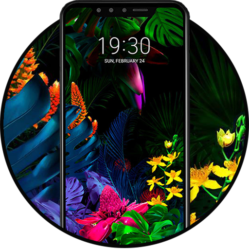 Theme for LG G8s ThinQ icon