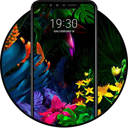 Theme for LG G8s ThinQ 1.1.1