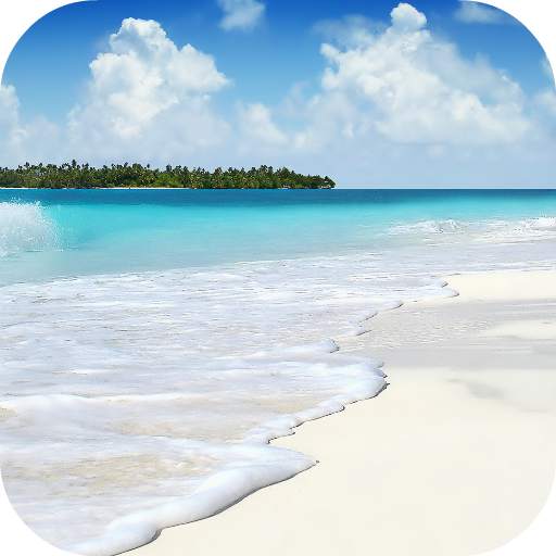 Beach Video Live Wallpaper 3.0