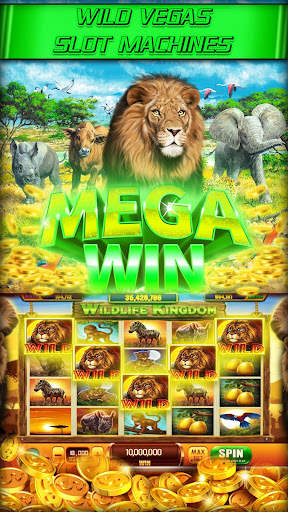 Slots : Casino slots games screenshot 6