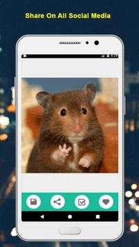 Top Funny and Jokes GIF Collection FREE screenshot 3