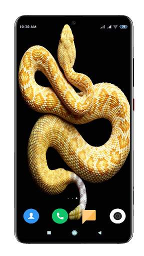 Snake Wallpaper HD screenshot 12