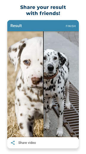 PicAPic editor: Compare Photo screenshot 7