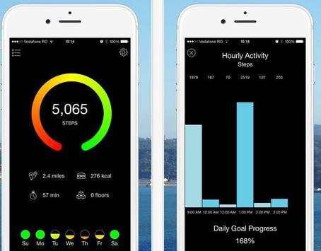 Pedometer screenshot 3