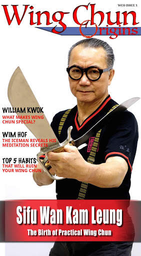 Wing Chun Origins screenshot 4