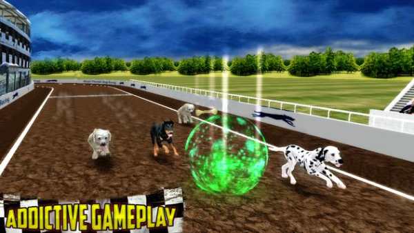 Ultimate Dog Race: greyhound Derby Race screenshot 2