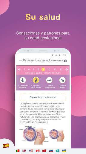 AMMA Calendario de embarazo, mi gravidez dia a dia screenshot 2