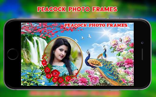 Peacock Photo Frames 4 تصوير الشاشة