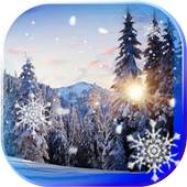 Snow Winter Forest 2015 1.0