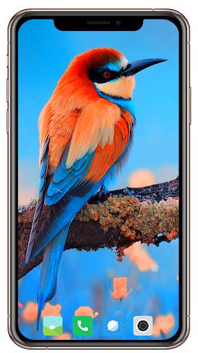 Bird HD Wallpaper screenshot 1
