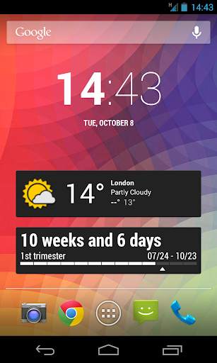 My Pregnancy Widget screenshot 1