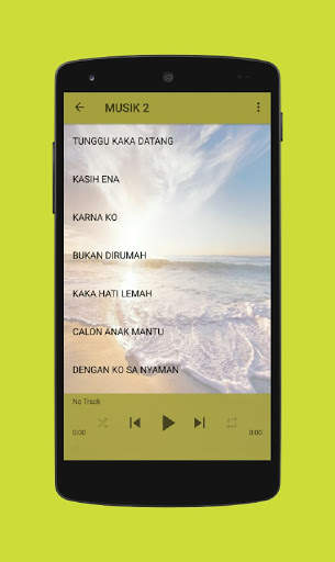 Lagu Timur Viral Offline screenshot 8