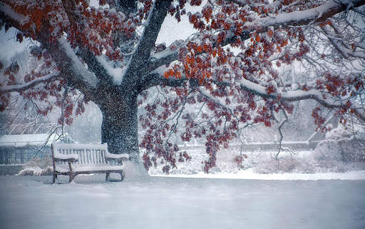 Falling Snow Live Wallpaper (live background) screenshot 8