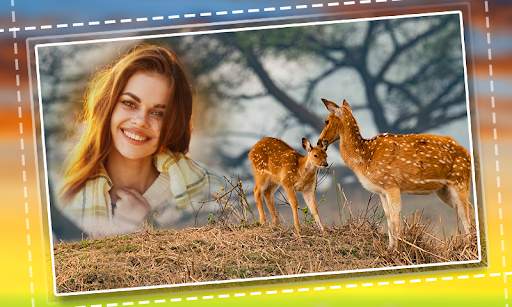 Wild Animal Photo Frames screenshot 4