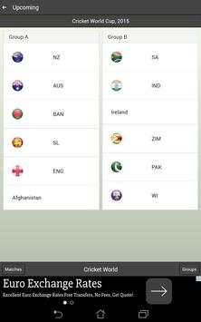 Cricket World screenshot 11