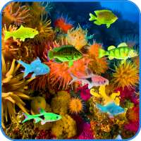 Under Water Fishes LWP on 9Apps