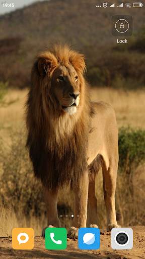 Safari HD Wallpaper screenshot 5