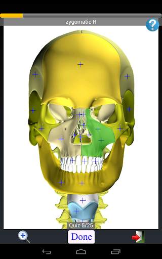 Anatomy Quiz скриншот 14