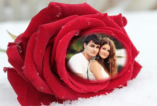 Rose Flower Photo Frames 2016 screenshot 1
