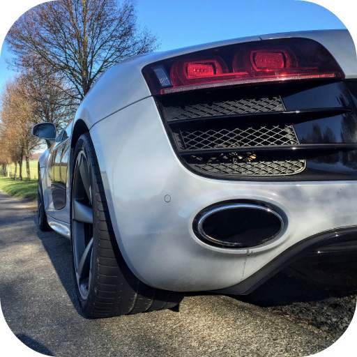 Ludo Racing King 1.0.0